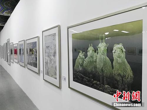 雞西版畫晉京展，黑土地藝術之花綻放北京